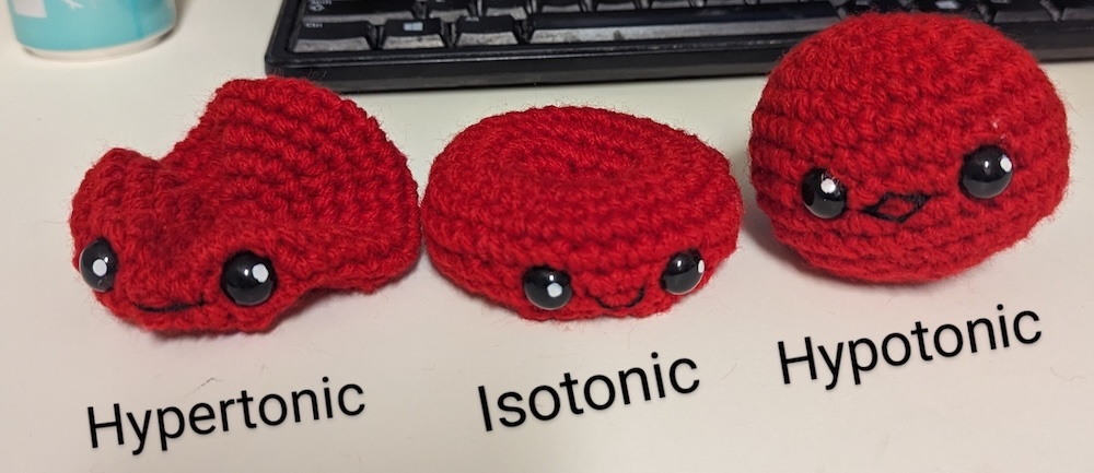 Red Blood Cells