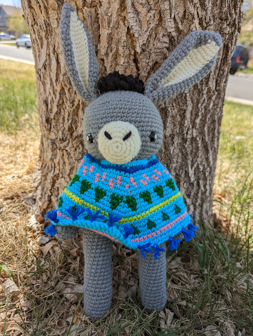 Donkey With Poncho