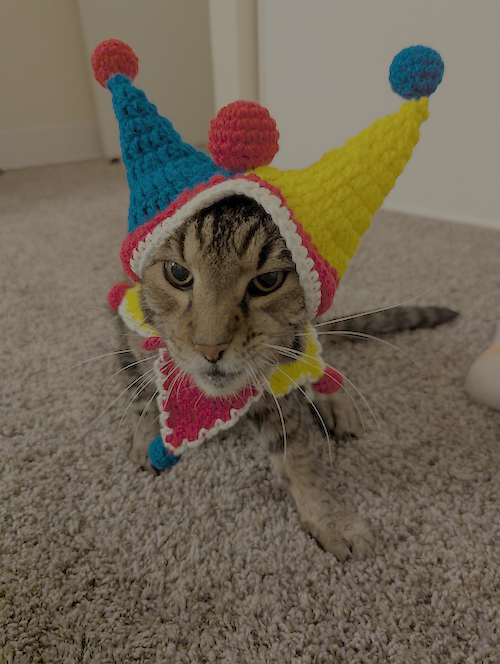 Cat Jester — view 1