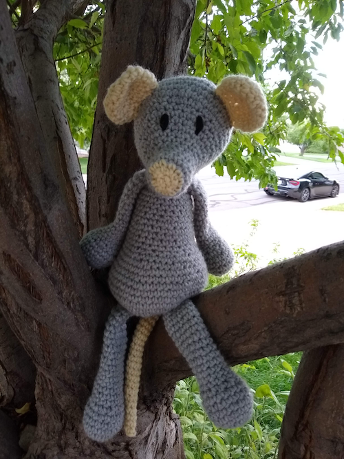 Grey Rat